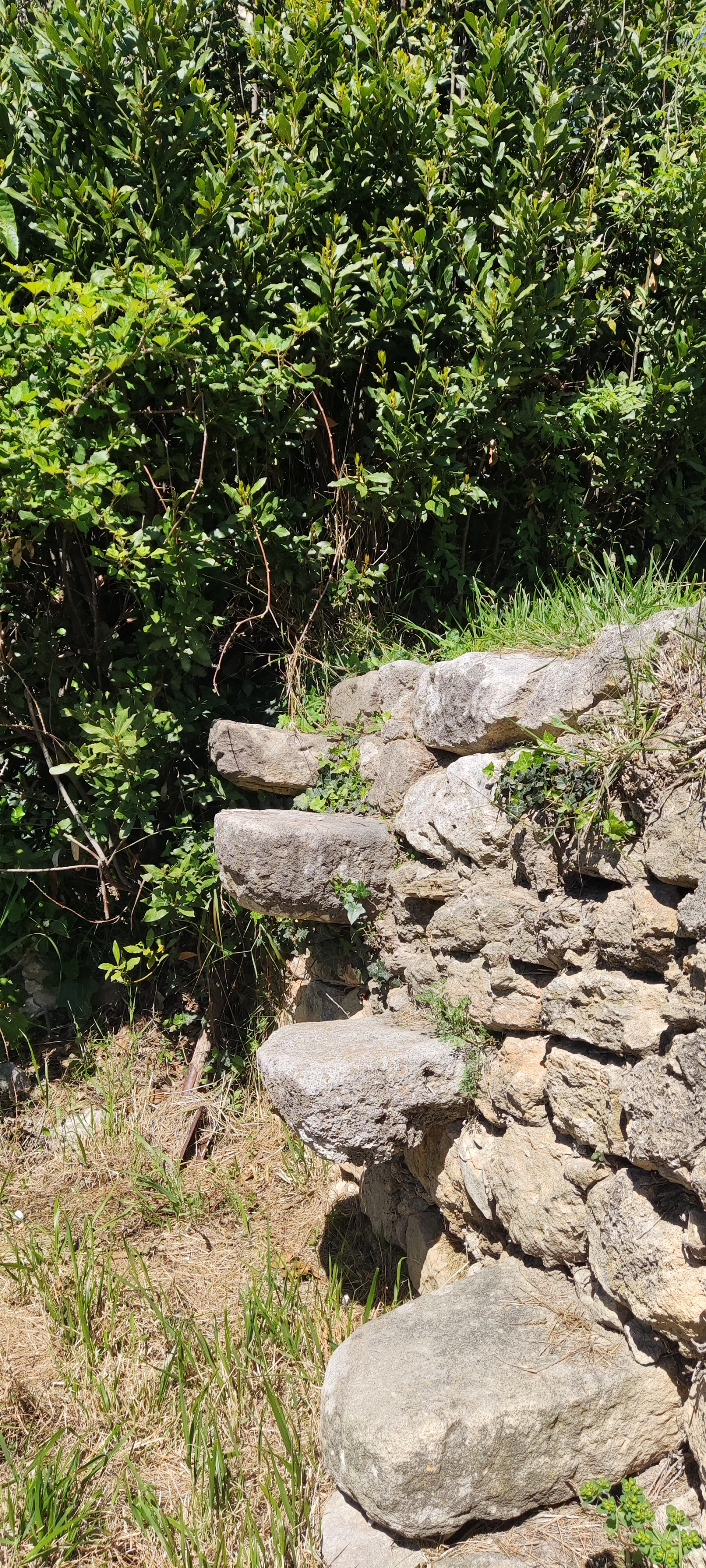 Image_, Maison de village, La Bastidonne, ref :3428