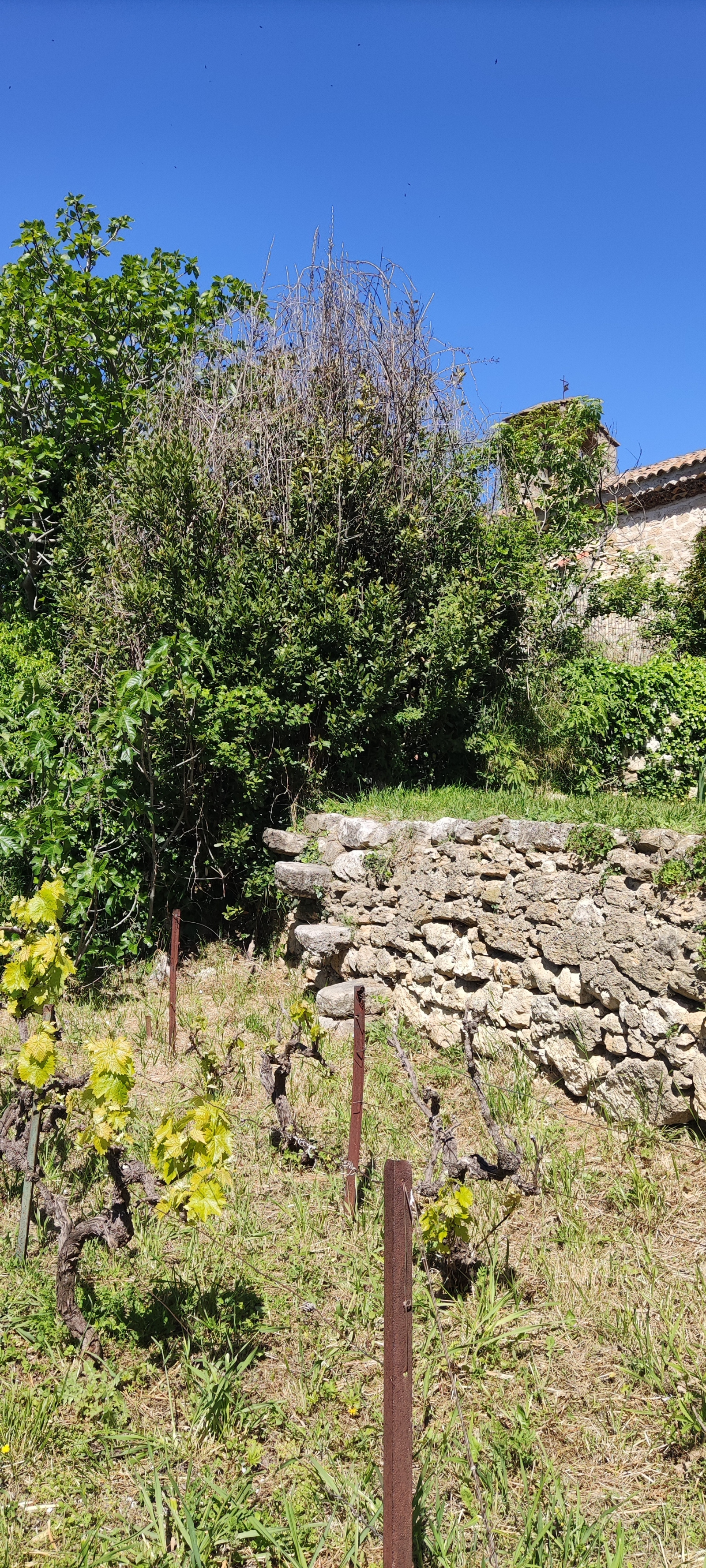 Image_, Maison de village, La Bastidonne, ref :3428