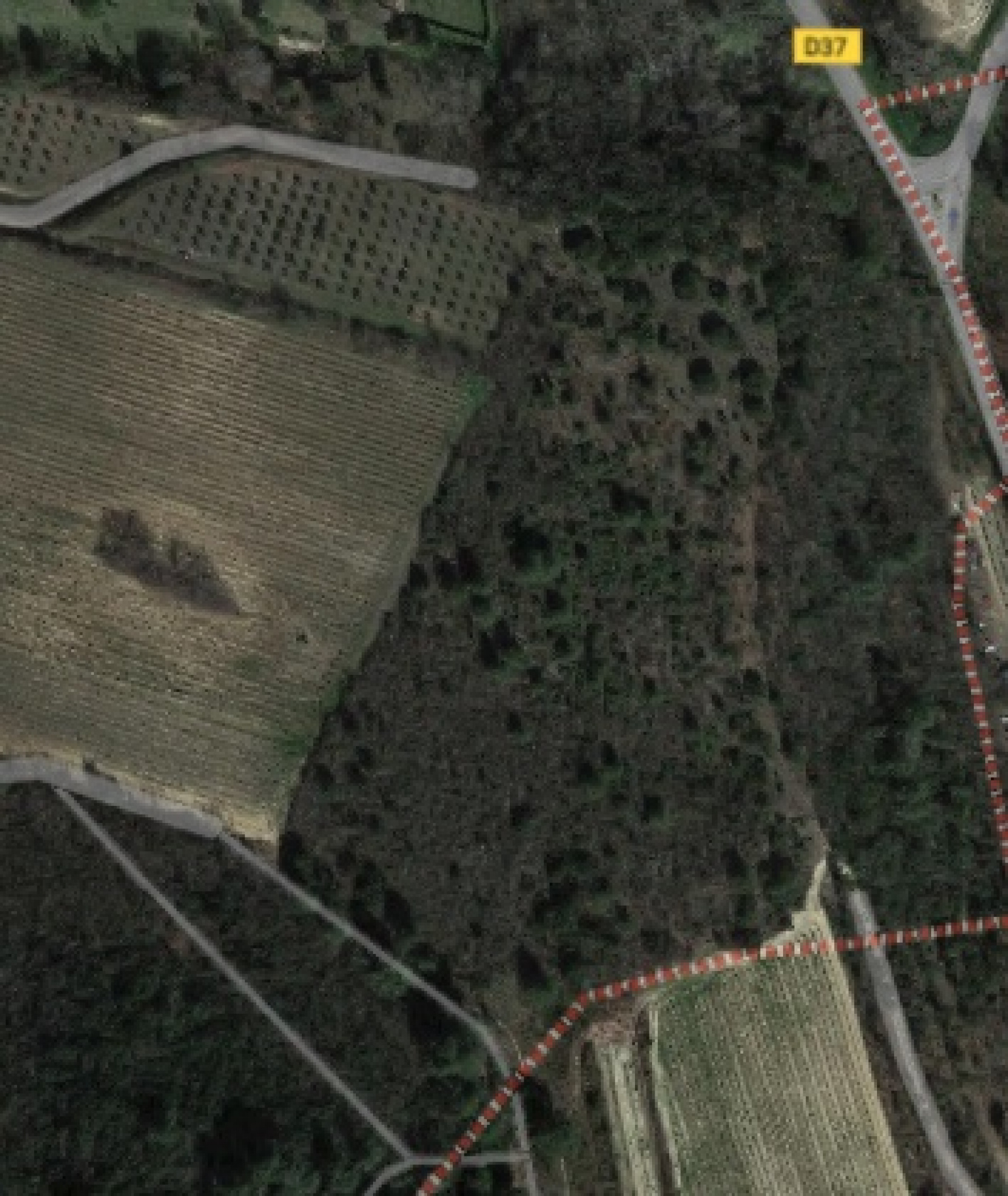Image_, Terrain agricole, La Motte-d'Aigues, ref :3311
