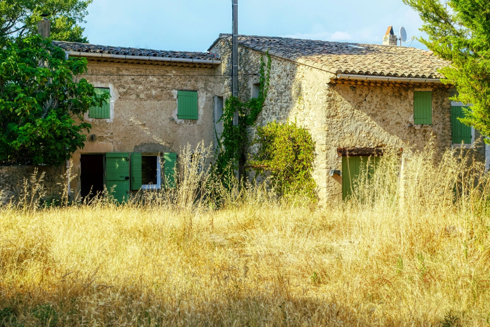 property